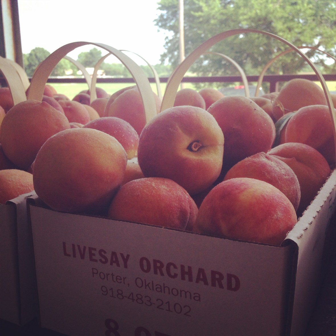 Livesay Orchard