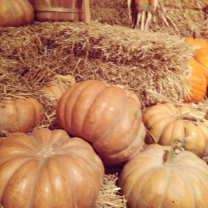 iPhone as of 11-5-14 123