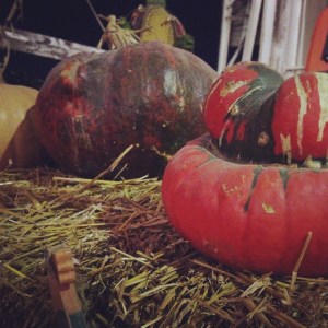 iPhone as of 11-5-14 127