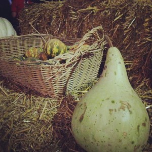 iPhone as of 11-5-14 128