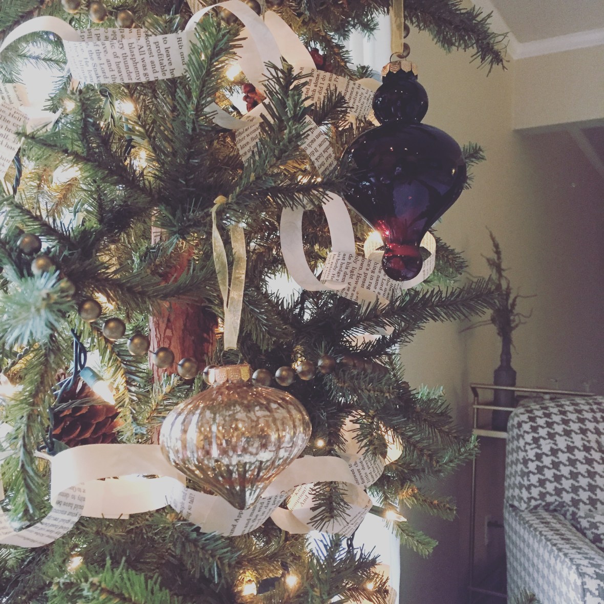 Thanksgiving-New Years 053